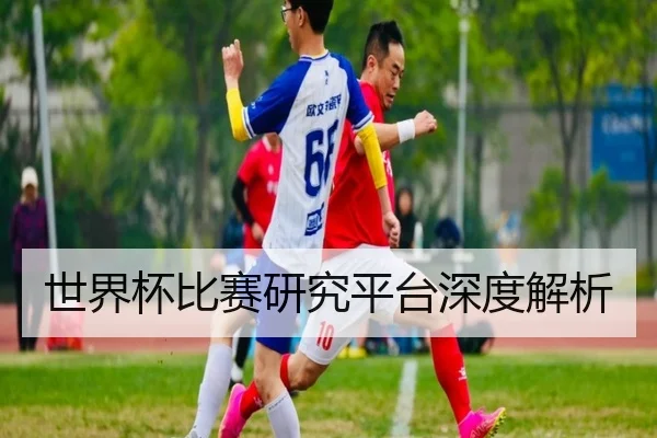 世界杯比赛研究平台深度解析