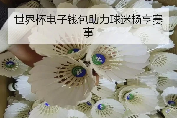 世界杯电子钱包助力球迷畅享赛事