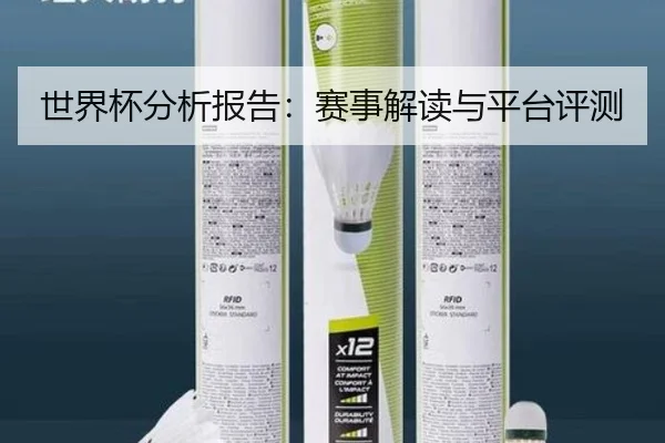 世界杯分析报告：赛事解读与平台评测