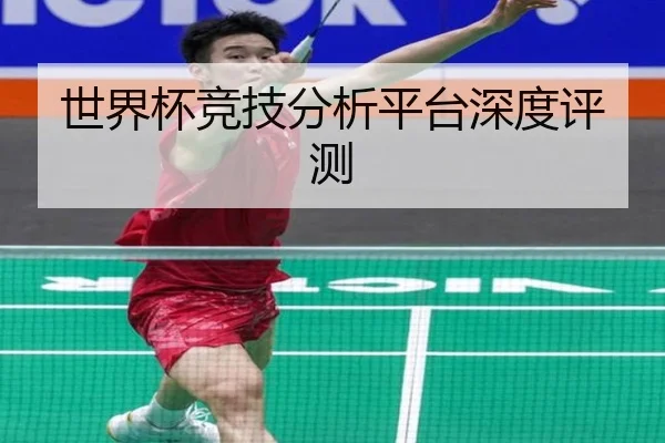 世界杯竞技分析平台深度评测