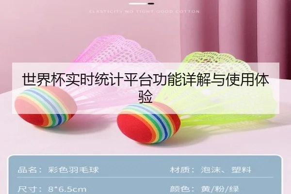世界杯实时统计平台功能详解与使用体验