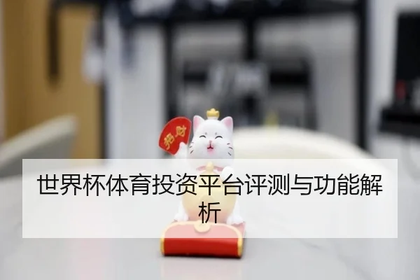 世界杯体育投资平台评测与功能解析