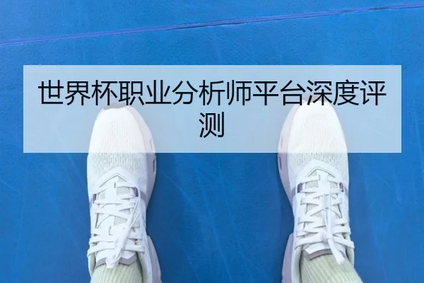 世界杯职业分析师平台深度评测