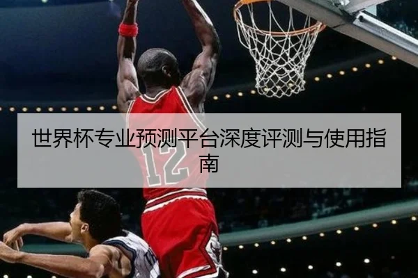 世界杯专业预测平台深度评测与使用指南