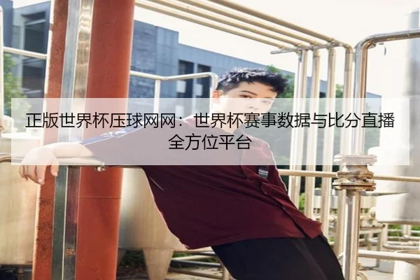正版世界杯压球网网：世界杯赛事数据与比分直播全方位平台