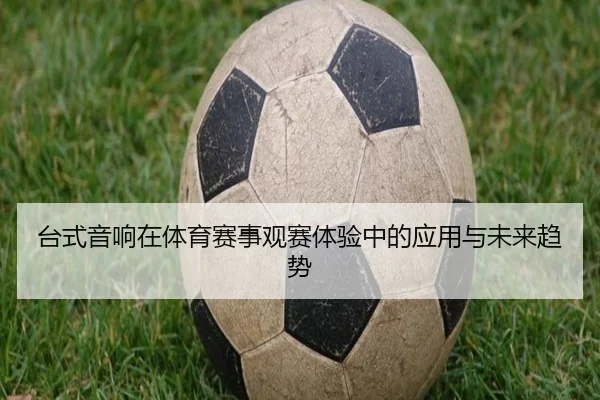 台式音响在体育赛事观赛体验中的应用与未来趋势