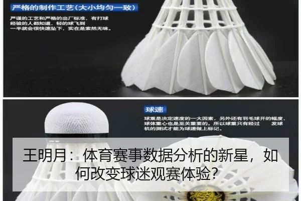 王明月：体育赛事数据分析的新星，如何改变球迷观赛体验？