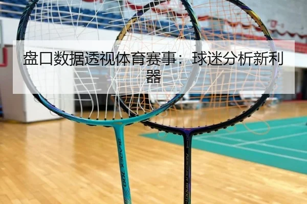 盘口数据透视体育赛事：球迷分析新利器