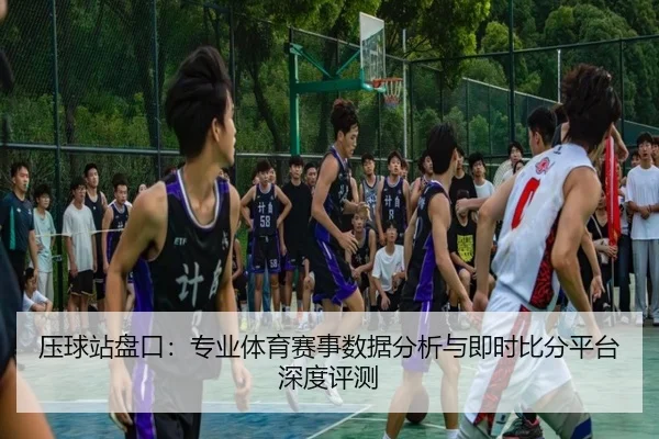 压球站盘口：专业体育赛事数据分析与即时比分平台深度评测