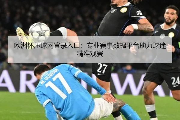欧洲杯压球网登录入口：专业赛事数据平台助力球迷精准观赛