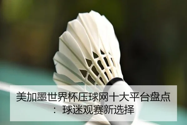 美加墨世界杯压球网十大平台盘点：球迷观赛新选择